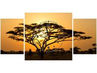 80X40CM ZEGAR AKACJA SERENGETI OBRAZ