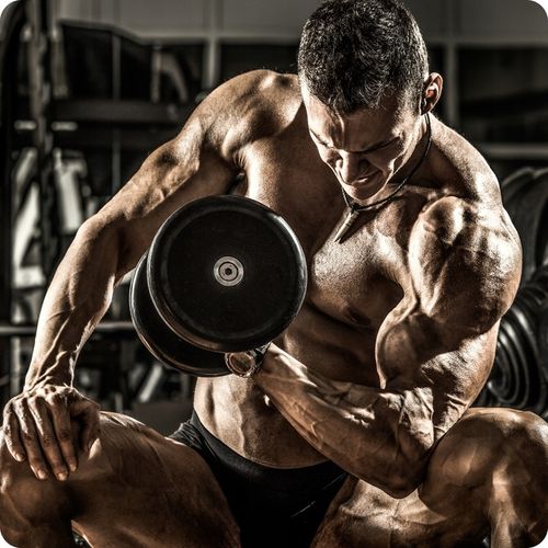 TESTOSTERON tabletki | Booster Testosteronu | Tabletki na potencje na Arena.pl