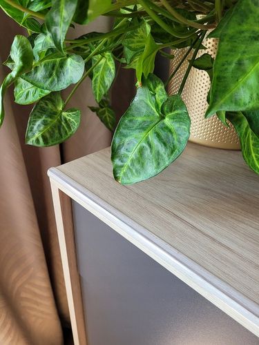 BEZBARWNA LISTWA ZABEZPIECZAJĄCA KANTY MEBLI RANTY Narożniki Krawędzie na Arena.pl