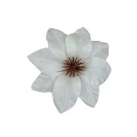 Clematis wyrobowy 24 szt kremowy