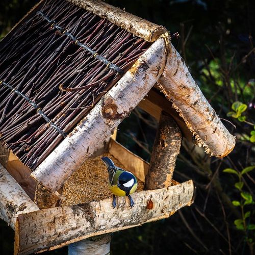 KARMNIK DLA PTAKÓW DUŻY XXL DOMEK DREWNIANY WISZĄCY BUDKA OZDOBA DO na Arena.pl