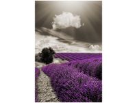 40X60CM LAWENDOWY WIDOK OBRAZ