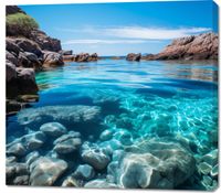 product-compare-59467693