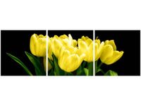 90X30CM ŻÓŁTE TULIPANY- MARK FREETH TRÓJ OBRAZ
