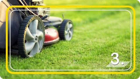 Trawa Nasiona Samozagęszczająca UNIWERSALNA odporna na deptanie 5kg 2024r. na Arena.pl