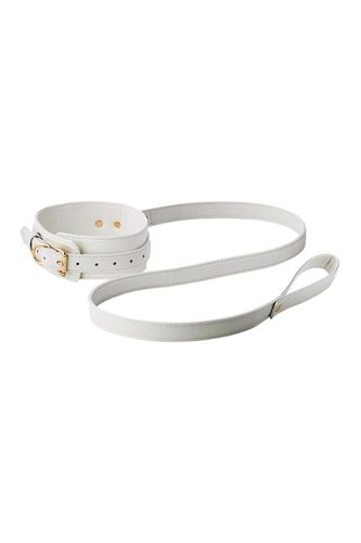 blaze elite collar and leash white na Arena.pl