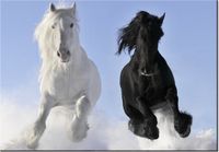 100 70CM OBRAZ PŁÓTNO BLACK&WHITE PŁÓTNO RAMA