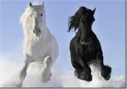 100 70CM OBRAZ PŁÓTNO BLACK&WHITE PŁÓTNO RAMA na Arena.pl