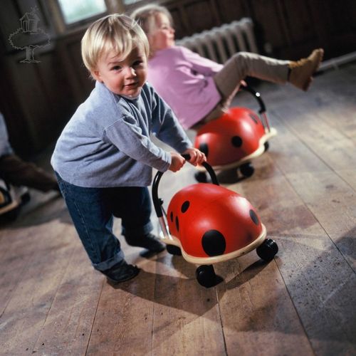 Jeździk duży biedronka Wheely Bug na Arena.pl