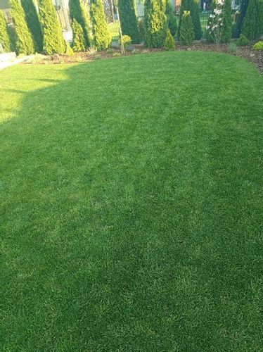 Nawóz do trawy do trawników na lato MAGGROW 20 kg na Arena.pl