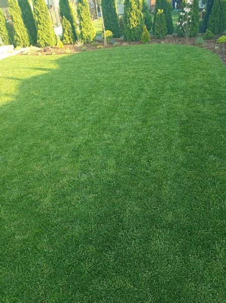 Nawóz do trawy do trawników na lato MAGGROW 20 kg zdjęcie 4