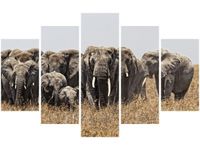 70 100CM OBRAZ 5 ELEM RODZINA SŁONI FEANS DRUK PŁÓTNO