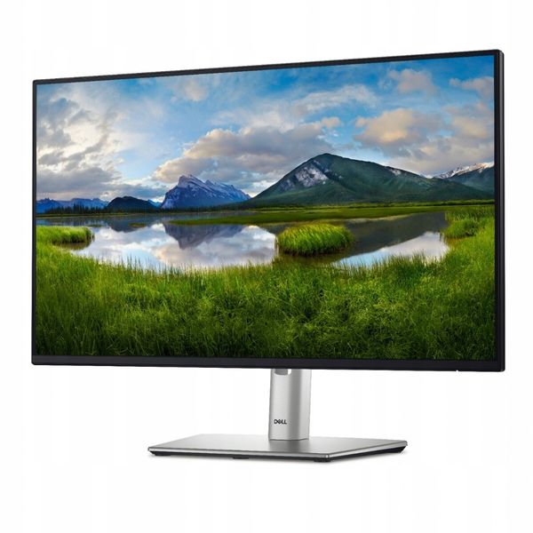 Monitor LED 24" Dell P2425H/5Y zdjęcie 7