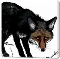 Obraz 100x100cm Nieufny Lis