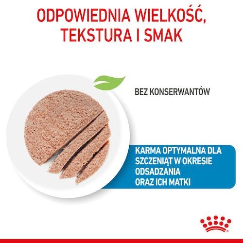 Royal Canin Starter Mother&Babydog Karma Mokra - Mus, Dla Suk W Czasie Ci na Arena.pl