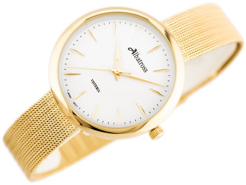ALBATROSS ABBC20 (za542c) gold / white na Arena.pl