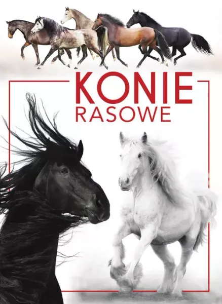 Konie rasowe zdjęcie 1