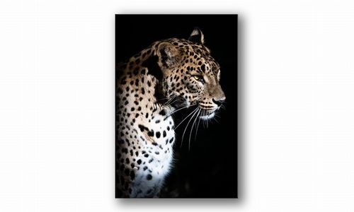 OBRAZ NA PŁÓTNIE 051 Lampart 70x100cm na Arena.pl