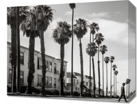 Obraz 50x40cm Spacer w Cieniu Palm