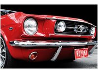 100 70CM OBRAZ PŁÓTNO RED MUSTANG Y PŁÓTNO RAMA