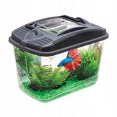 AQUAEL BETTA KIT AKWARIUM DLA BOJOWNIKA Złotej ryb