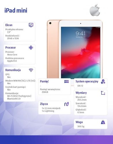 Apple iPad mini Wi-Fi 256GB - Gold na Arena.pl