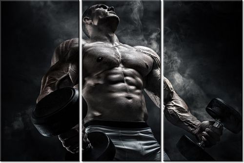 60 90CM OBRAZ 3 ELEM MĘŻCZYZNA SIŁOWNI STALOWYM KOLORZE DRUK PŁÓTNO RAMA na Arena.pl