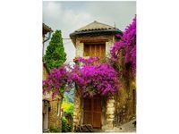 50X70CM STARE MIASTO PROWANSJI OBRAZ PION ŚCIAN