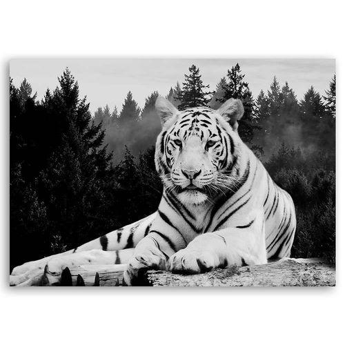 Deco Panel, Tygrys w lesie 60x40 na Arena.pl