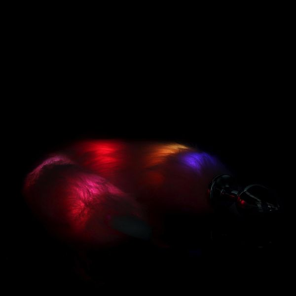 Light-Up Fox Tail With Metal Butt Plug zdjęcie 12