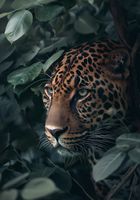 Plakat 70x100cm Schowany w Cieniu