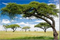 product-compare-58694766