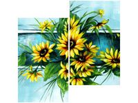 product-compare-58652855