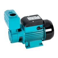 POMPA HYDROFOROWA WZ 250 CW 230V - OM-WZ-250 CW
