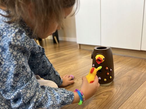 DZIĘCIOŁ ŁAPIE OWADY NR:8304 na Arena.pl