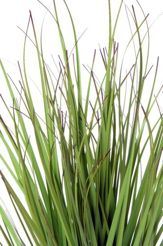 Trawa Mini Green 35 Cm na Arena.pl