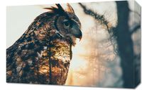 Obraz 60x40cm Sowi Duch