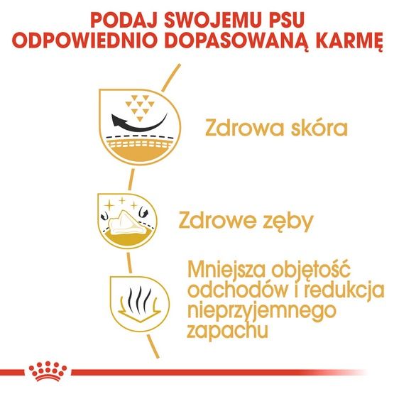 Karma sucha z witaminami dla psów dorosłych rasy Shih Tzu Royal Canin 1,5kg zdjęcie 5