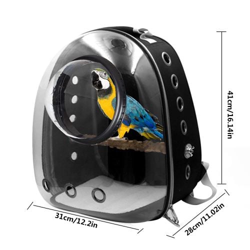 TRANSPORTER DLA PAPUG PTAKÓW NIMF ŻAKO GRZĘDA 2kol na Arena.pl