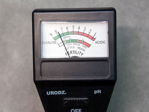 Bioogród Miernik pH urodzajności gleby kwasomierz na Arena.pl