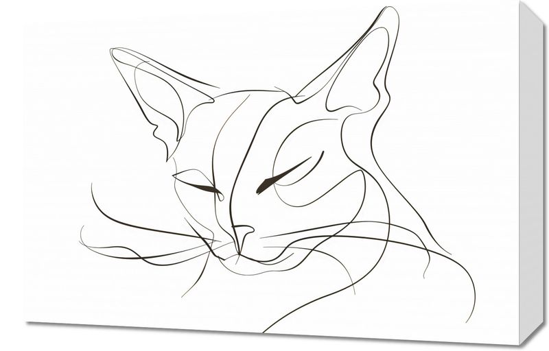 Obraz 60x40cm Linijny Kot zdjęcie 1