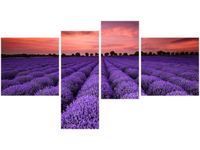 OBRAZ LAWENDOWY GAJ SUNSET