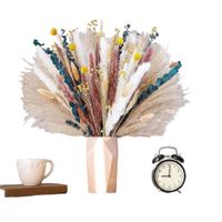 suszone kwiaty trawa pompasowa 100szt