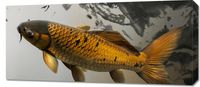 Obraz 90x40cm Spokojna Ryba Koi