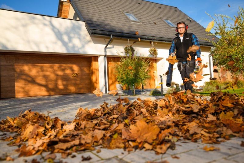 CEDRUS DM05 PRO PROFESJONALNY ODKURZACZ  DMUCHAWA SPALINOWA OGRODOWA DO LIŚCI - OFICJALNY DYSTRYBUTOR - AUTORYZOWANY DEALER CEDRUS zdjęcie 13