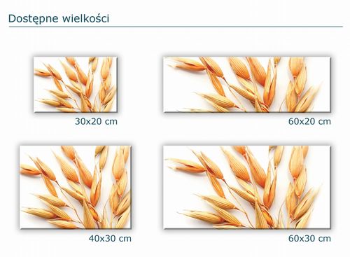 SZKLANA DESKA KUCHENNA 60x20 306c Owies na Arena.pl