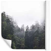 Fototapeta 3D Las we Mgle NATURA do Sypialni 400x280