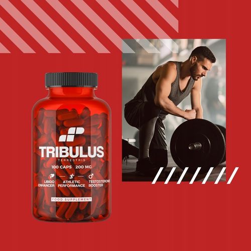 TRIBULUS TESTOSTERON TERRESTRIS BUZDYGANEK TESTO LIBIDO 100 MUSCLE POWER na Arena.pl