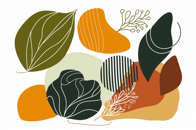 Plakat 60x40cm Natura Gwizda zdjęcie 1