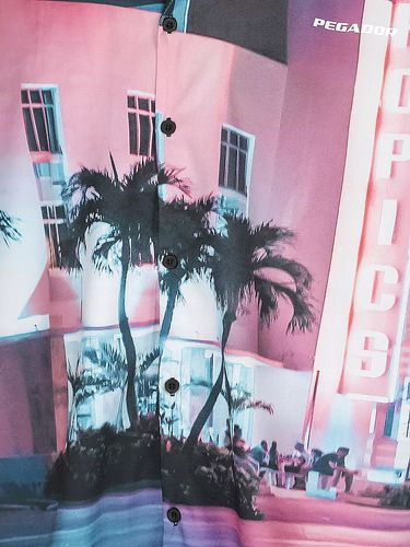 Koszule Pegador GABLES SUMMER L na Arena.pl